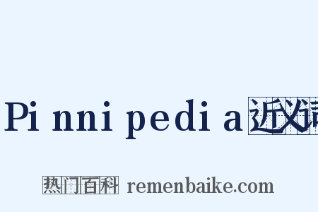 Pinnipedia近义词是什么意思的图片